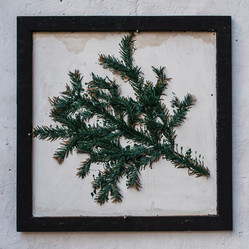 Similar image 11147187