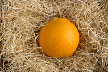 Similar image 10959801