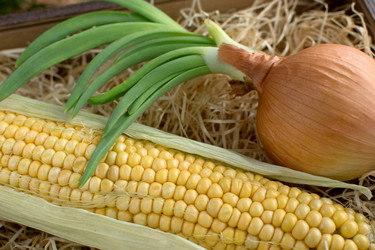 Similar image 10959803