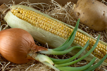 Similar image 10959804