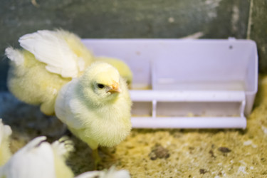 Similar image 10959185