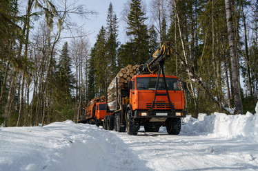 Similar image 11137369