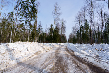 Similar image 11137388