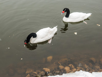 Similar image 11286635