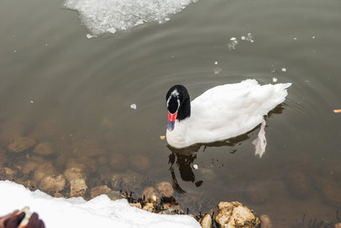 Similar image 11286636