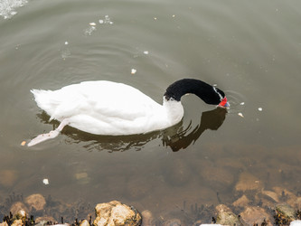 Similar image 11286650