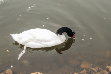 Similar image 11286651