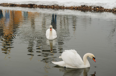 Similar image 11286652