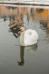 Similar image 11286653