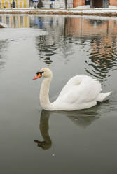 Similar image 11286654