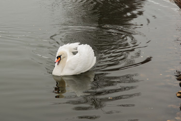 Similar image 11286656