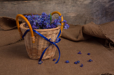 Similar image 10960731