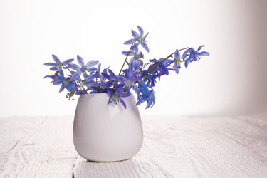 Similar image 10960733