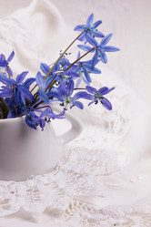 Similar image 10960735