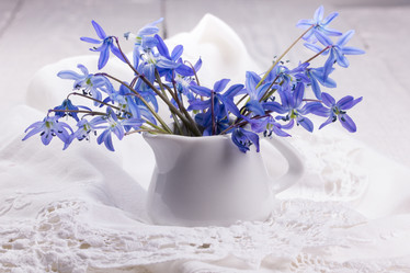 Similar image 10960737