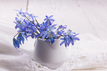 Similar image 10960481