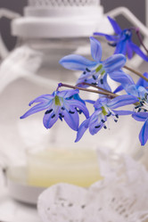 Similar image 10960485