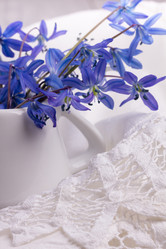 Similar image 10960488