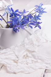 Similar image 10960490