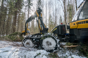 Similar image 11137377