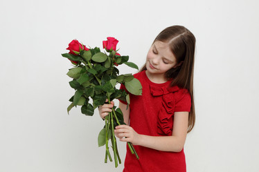 Similar image 11131585