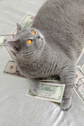 Similar image 11129328