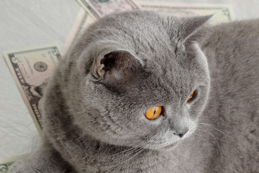 Similar image 11129543