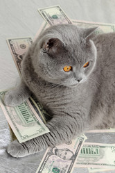 Similar image 11129545