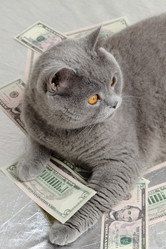 Similar image 11129590