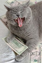 Similar image 11129592