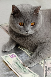 Similar image 11129595