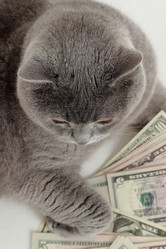 Similar image 11129867