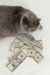 Similar image 11129869