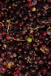 Similar image 11127674