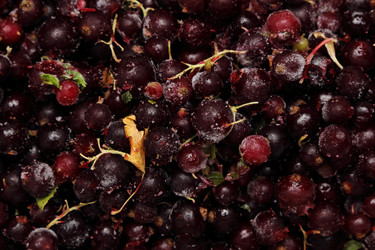 Similar image 11129294