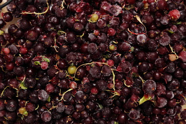 Similar image 11129336