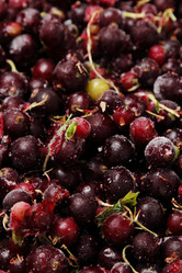 Similar image 11129338