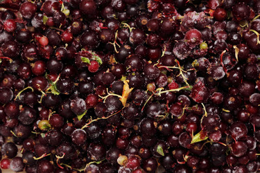 Similar image 11129340