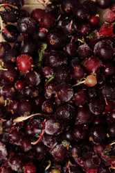 Similar image 11129547