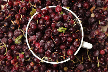 Similar image 11129549