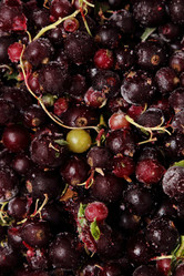 Similar image 11129552