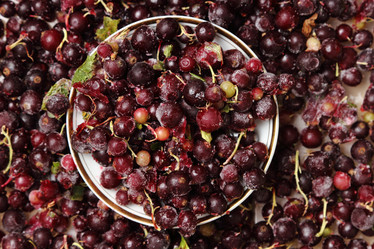 Similar image 11129597