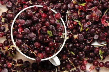 Similar image 11129600