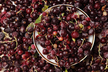 Similar image 11129603