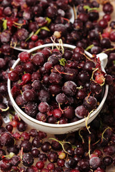 Similar image 11129641