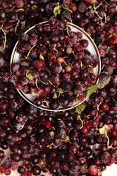 Similar image 11129644