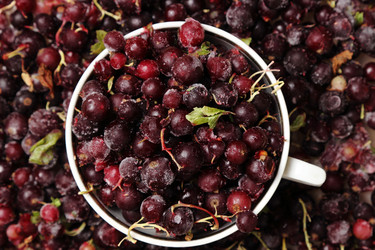 Similar image 11129646