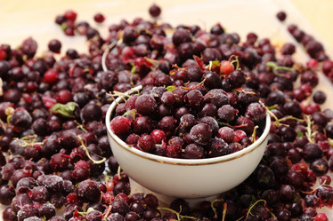 Similar image 11129827