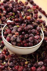 Similar image 11129880