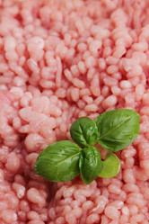 Similar image 11130758